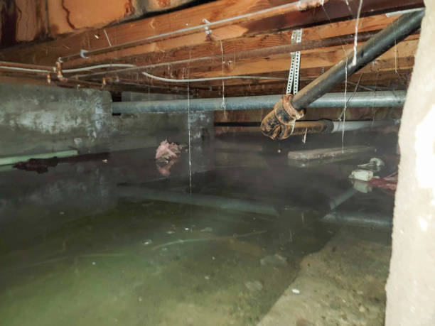 Best Water damage restoration near me  in Enosburg Falls, VT