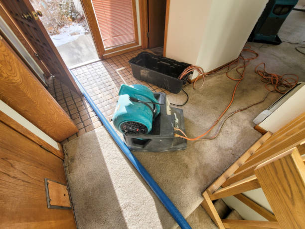 Best Residential water damage restoration  in Enosburg Falls, VT