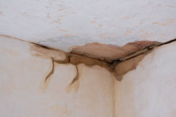 Best Flood restoration services  in Enosburg Falls, VT