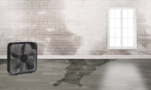 Enosburg Falls, VT Water damage restoration Company