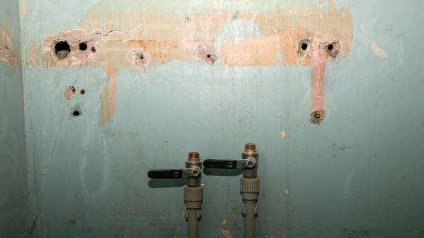 Best Basement water damage restoration  in Enosburg Falls, VT