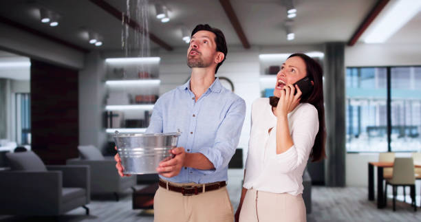 Best Water damage restoration specialists  in Enosburg Falls, VT